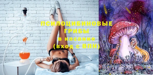 а пвп мука Алзамай