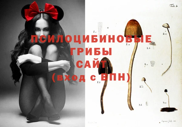 дживик Алексин