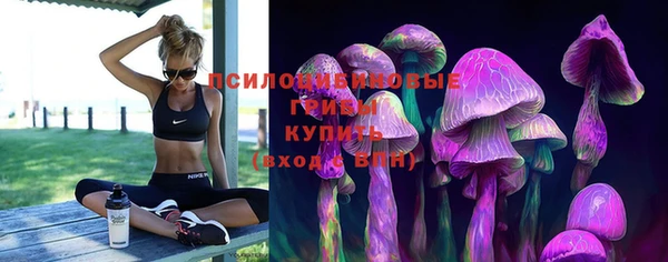 а пвп мука Алзамай